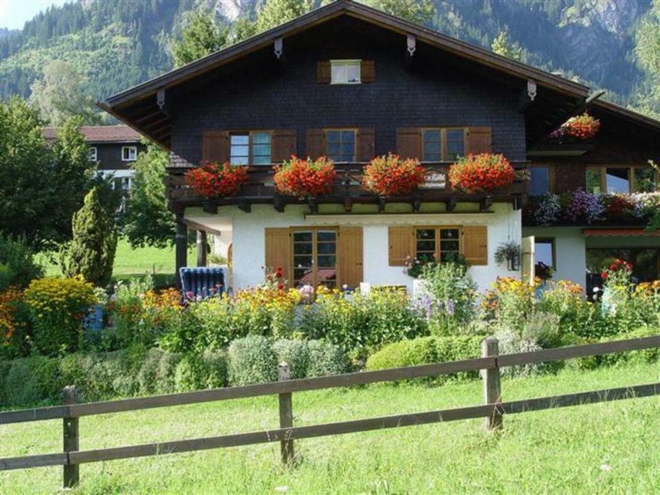Haus Koelbl Daire Bad Hindelang Dış mekan fotoğraf